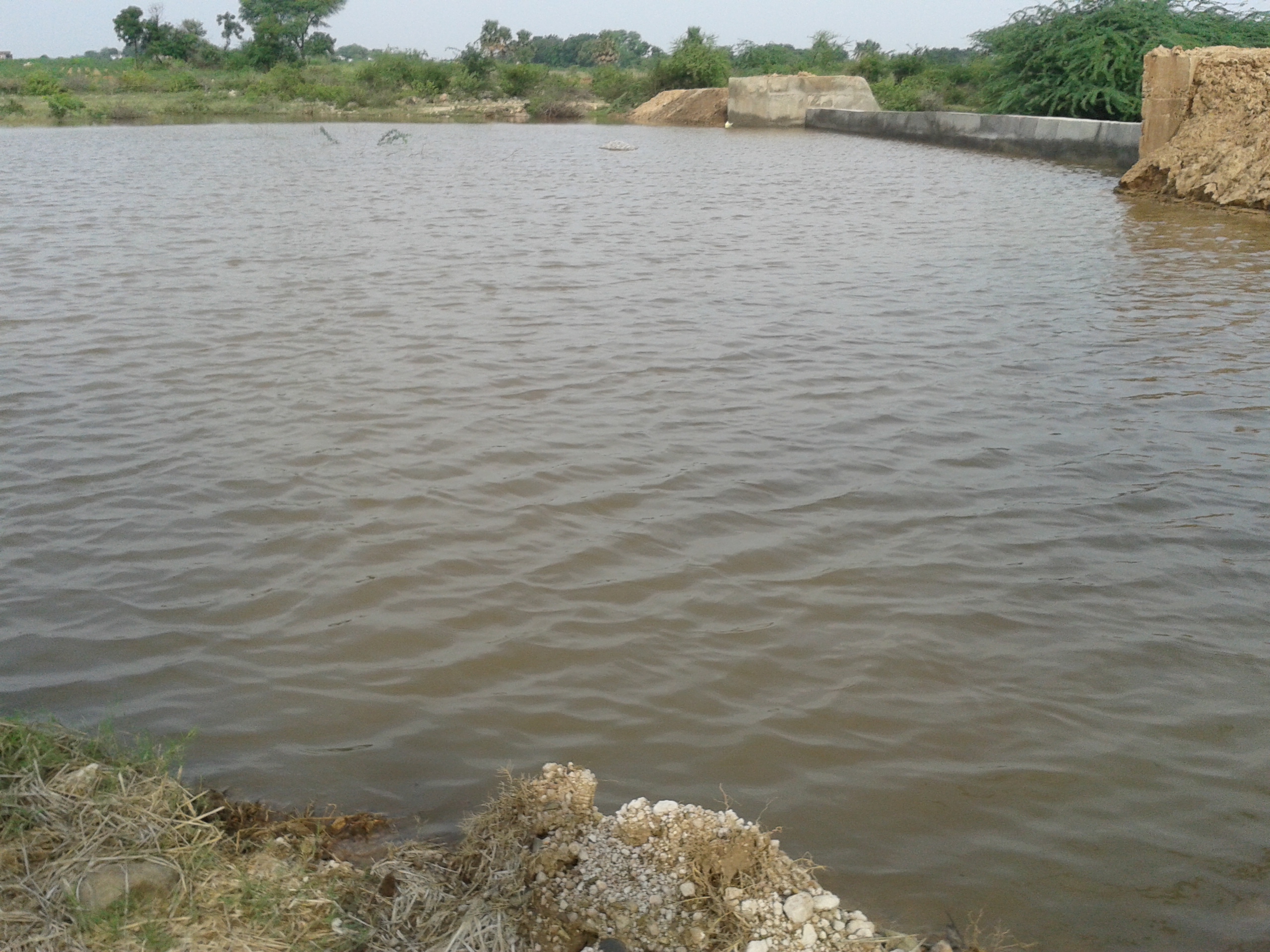https://1ngo.sgp1.digitaloceanspaces.com/media/ards/Check Dam.jpg